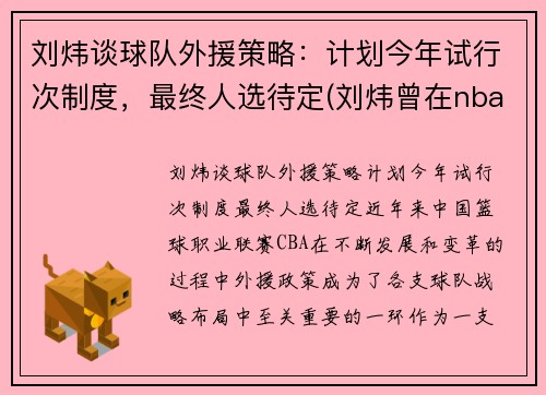 刘炜谈球队外援策略：计划今年试行次制度，最终人选待定(刘炜曾在nba哪个球队试训过)