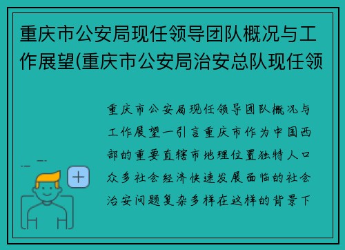 重庆市公安局现任领导团队概况与工作展望(重庆市公安局治安总队现任领导)